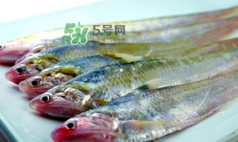 刁子魚是秋刀魚嗎？刁子魚是海魚嗎？