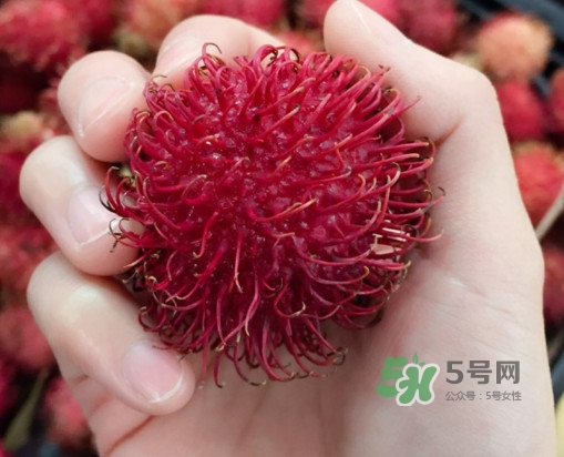 吃紅毛丹對身體有什么好處？紅毛丹有什么營養(yǎng)價值