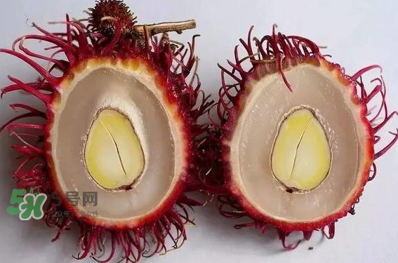 紅毛丹的核可以種嗎？紅毛丹的核怎么種