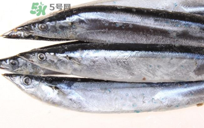 秋刀魚是海魚嗎？秋刀魚是淡水魚還是海魚