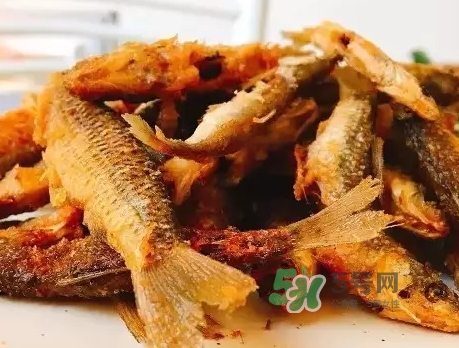 刁子魚多少錢一斤？刁子魚價(jià)格表