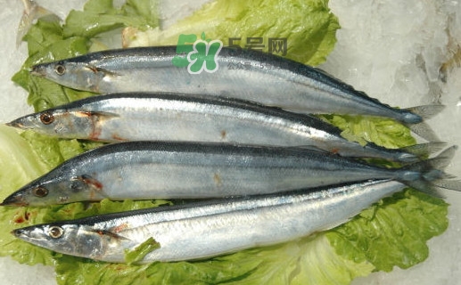 秋刀魚為什么那么便宜？秋刀魚為什么叫秋刀魚