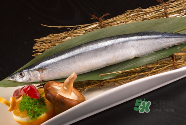 秋刀魚是不是鲅魚？秋刀魚和鲅魚的區(qū)別