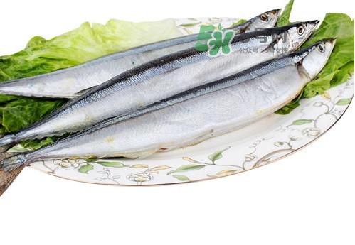 秋刀魚是海魚嗎？秋刀魚是淡水魚還是海魚