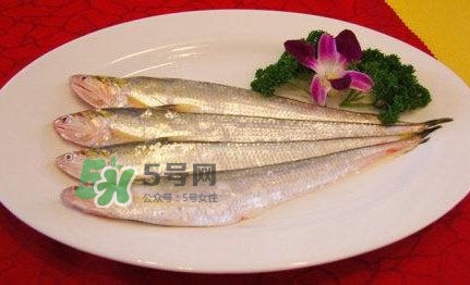 秋刀魚(yú)是刀魚(yú)嗎？秋刀魚(yú)和刀魚(yú)的區(qū)別
