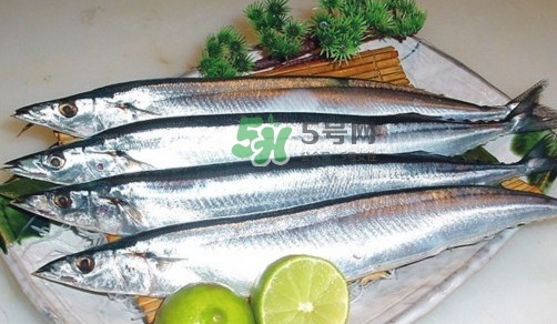 秋刀魚(yú)是刀魚(yú)嗎？秋刀魚(yú)和刀魚(yú)的區(qū)別