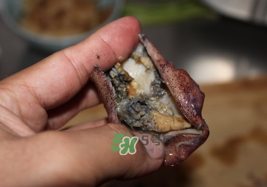 筆管魚怎么清洗？筆管魚怎么處理