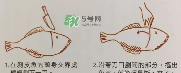 剝皮魚(yú)為什么要?jiǎng)兤?？剝皮魚(yú)的皮有毒嗎？