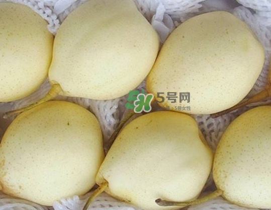 雪花梨是雪梨嗎？雪花梨和雪梨的區(qū)別
