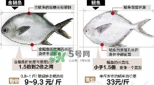 金鯧魚(yú)是海魚(yú)嗎？金鯧魚(yú)的刺多嗎？
