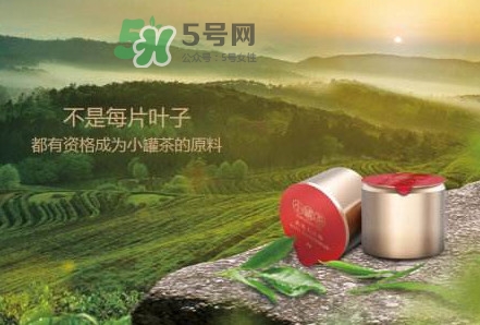 小罐茶是什么茶？小罐茶是哪八種茶？