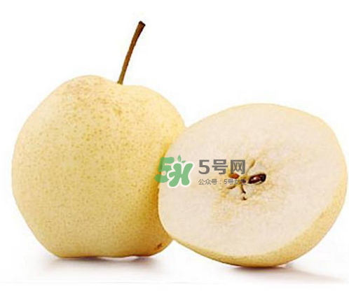 貢梨是雪梨嗎？貢梨和雪梨的區(qū)別