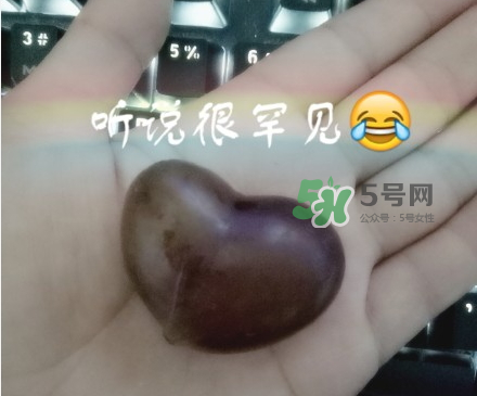 心形葡萄能吃嗎？心形葡萄和普通葡萄的區(qū)別