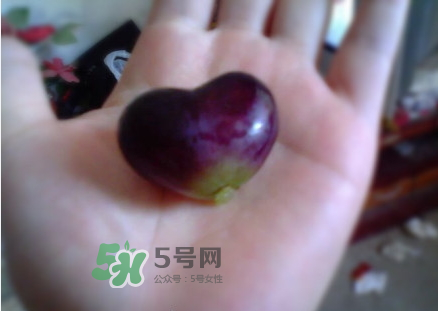 心形葡萄能吃嗎？心形葡萄和普通葡萄的區(qū)別
