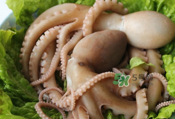 八爪魚的頭能吃嗎？八爪魚的頭里面是什么
