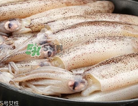 海兔子是什么？海兔子是墨魚(yú)嗎