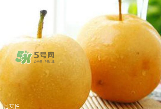 圓黃梨好吃嗎？圓黃梨的功效與作用