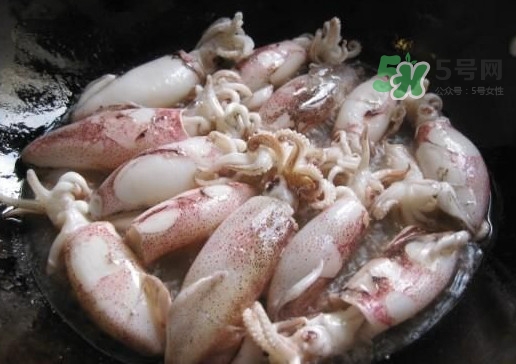 筆管魚(yú)是魷魚(yú)嗎？筆管魚(yú)和魷魚(yú)的區(qū)別