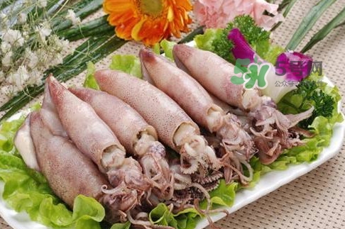 筆管魚(yú)是魷魚(yú)嗎？筆管魚(yú)和魷魚(yú)的區(qū)別