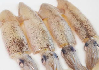 筆管魚是什么魚？筆管魚怎么吃