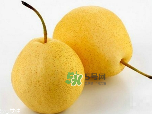 貢梨可以做冰糖雪梨嗎？貢梨可以燉川貝嗎？