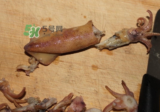 筆管魚怎么清洗？筆管魚怎么處理