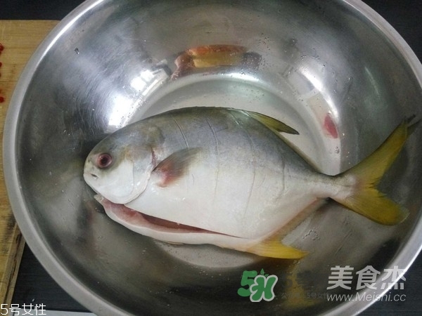 金鯧魚(yú)是海魚(yú)嗎？金鯧魚(yú)的刺多嗎？