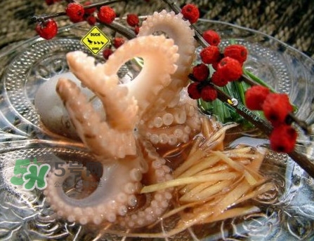 章魚有幾只腳？章魚有幾個(gè)爪子