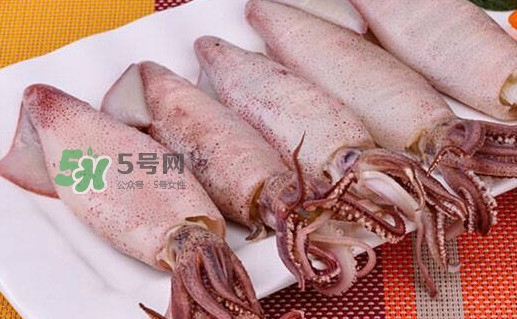 筆管魚怎么做好吃？筆管魚有什么營養(yǎng)