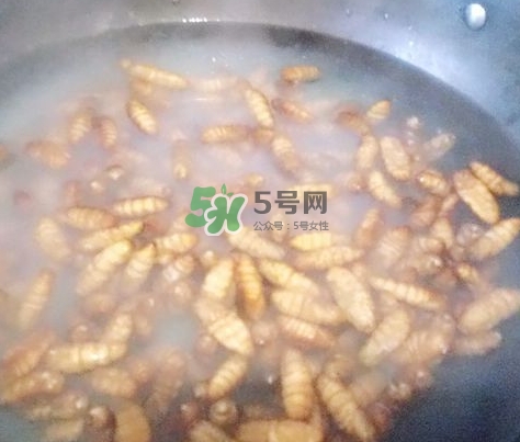 蜂蛹怎么保存？蜂蛹怎么做好吃？