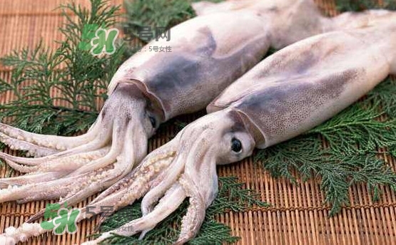 魷魚(yú)是海魚(yú)嗎？魷魚(yú)怎么炒好吃
