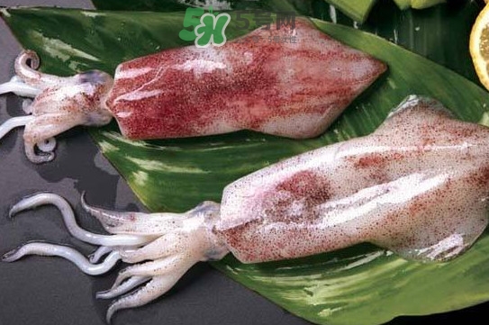 新鮮魷魚怎么處理？魷魚怎么清洗？