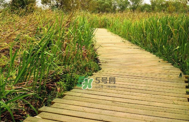 心碎綜合癥是抑郁癥嗎？心碎綜合癥怎么治療