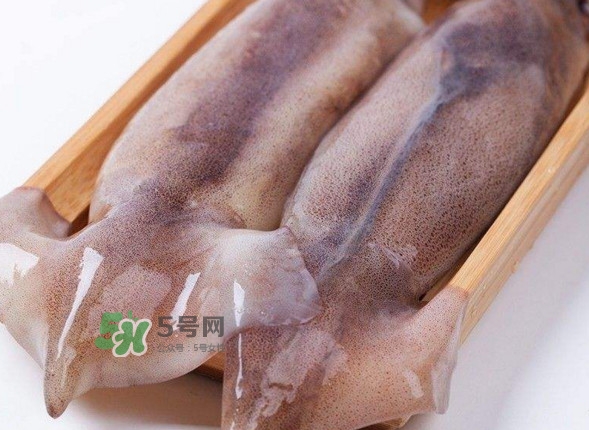 新鮮魷魚怎么保存？魷魚可以冷凍嗎