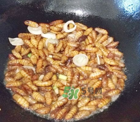 蜂蛹怎么保存？蜂蛹怎么做好吃？
