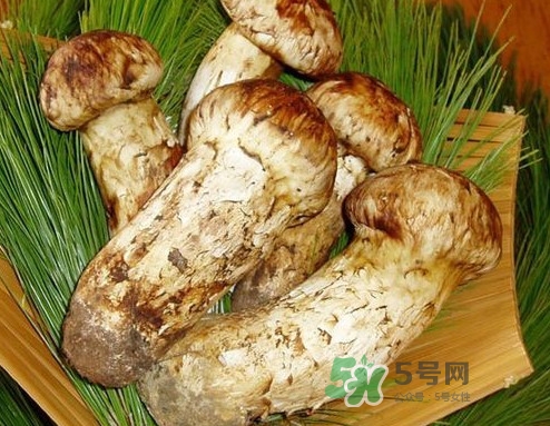新鮮松茸怎么清洗？新鮮松茸怎么處理