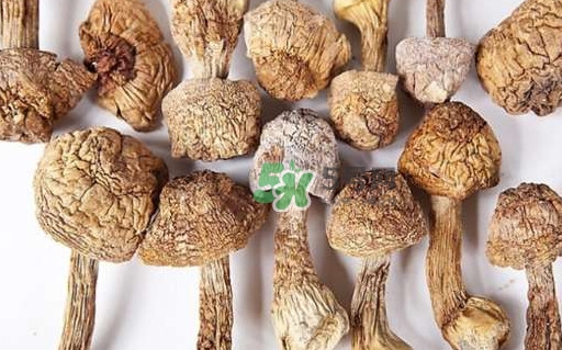 干松茸要泡多久？干松茸用冷水泡還是溫水泡好