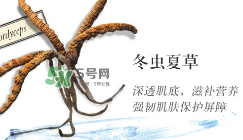 菌菇水是哪個國家的？悅木之源菌菇水是日本的嗎