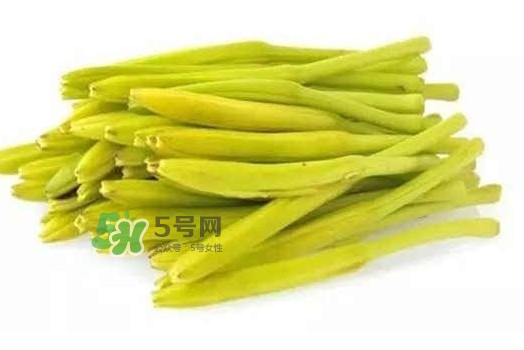 黃花菜是忘憂草嗎？黃花菜是不是金針菜