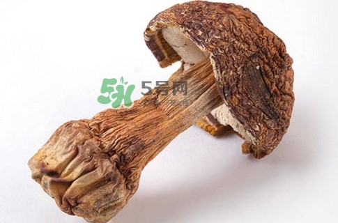 產(chǎn)婦能吃松茸嗎？哺乳期可以吃松茸嗎