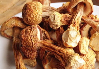 干松茸怎么清洗？干松茸如何辨別真?zhèn)?><p><strong>干松茸怎么清洗？干松茸如何辨別真?zhèn)?/strong></p></a></li> <li><a href=