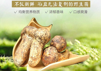新鮮松茸怎么挑選？干松茸如何挑選
