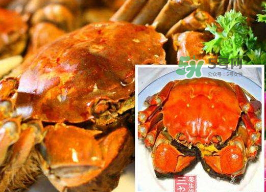 紅印蟹怎么回事？紅印蟹有什么不同？