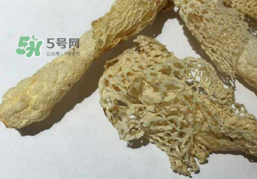 干竹蓀怎么處理？干竹蓀怎么清洗