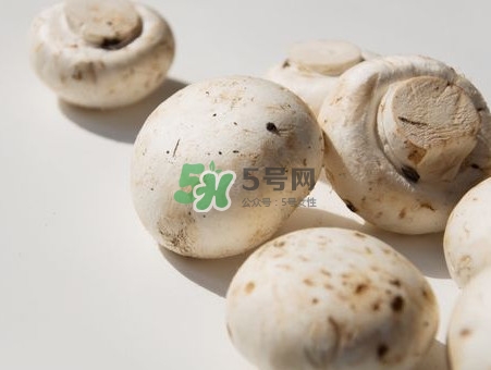 白蘑菇是什么種類？白蘑菇怎么洗才洗得干凈