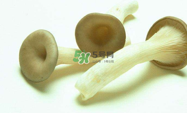 蘑菇不能和茄子一起吃嗎？蘑菇不能和什么一起吃？