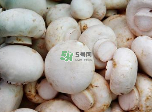 蘑菇變黑了還能吃嗎？蘑菇怎么保存？