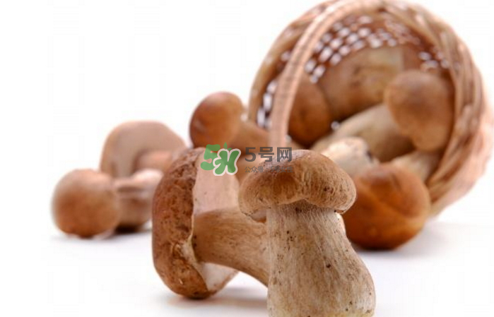 蘑菇能放冰箱嗎？蘑菇能放冰箱多長時間？