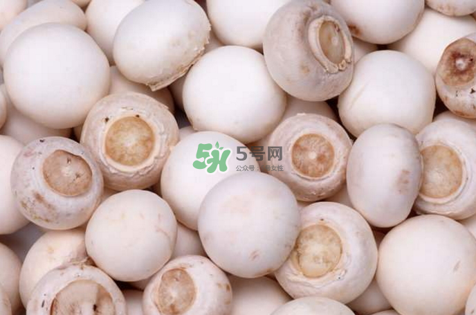 蘑菇能放冰箱嗎？蘑菇能放冰箱多長時間？