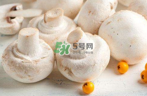 新鮮白蘑菇怎么做好吃？白蘑菇有什么好處